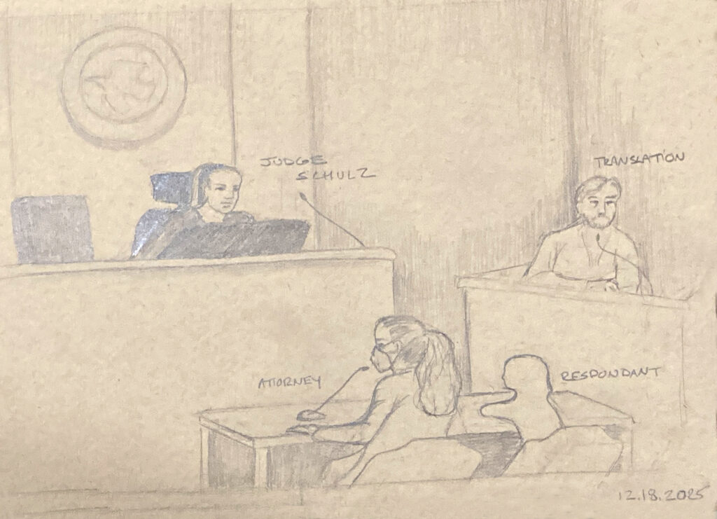 Judge Schultz seated at a high desk with a court seal behind her. Translator seated at a lower desk on the right. Silhouette of very young child respondant seated at desk, with a masked attorney beside her. 